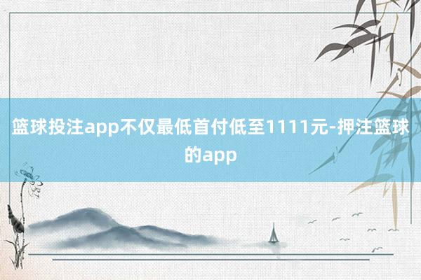 篮球投注app不仅最低首付低至1111元-押注篮球的app