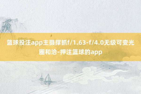 篮球投注app主摄撑抓f/1.63-f/4.0无级可变光圈和洽-押注篮球的app