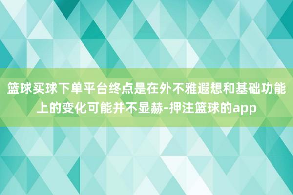 篮球买球下单平台终点是在外不雅遐想和基础功能上的变化可能并不显赫-押注篮球的app