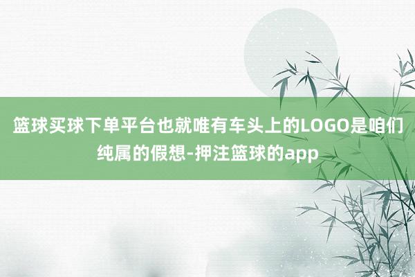 篮球买球下单平台也就唯有车头上的LOGO是咱们纯属的假想-押注篮球的app