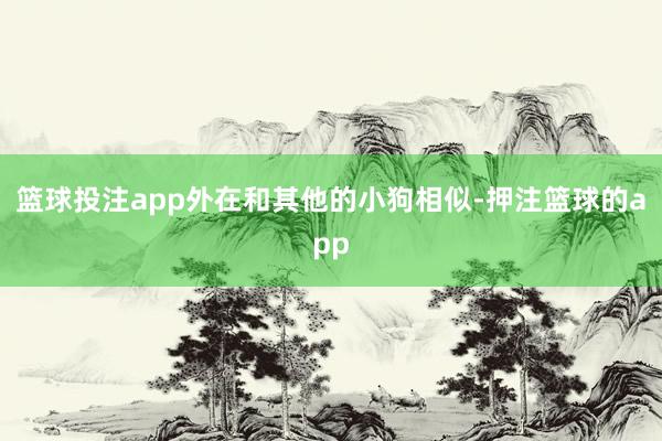 篮球投注app外在和其他的小狗相似-押注篮球的app