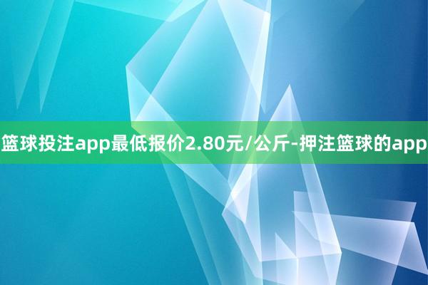 篮球投注app最低报价2.80元/公斤-押注篮球的app