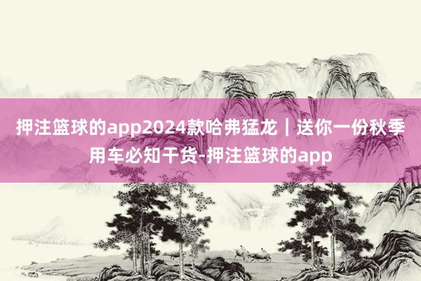 押注篮球的app2024款哈弗猛龙｜送你一份秋季用车必知干货-押注篮球的app