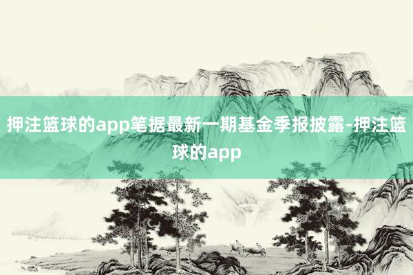 押注篮球的app笔据最新一期基金季报披露-押注篮球的app