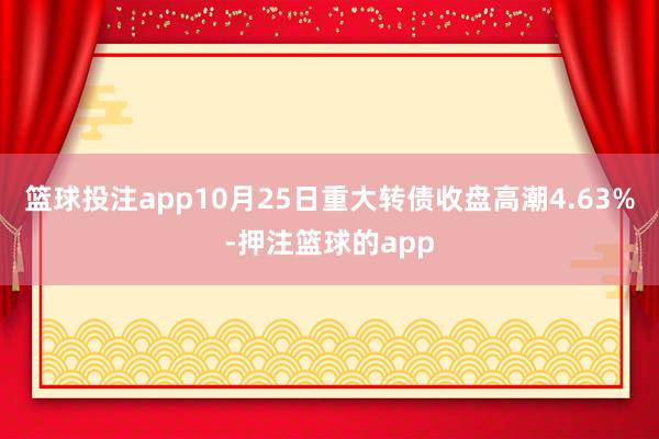 篮球投注app10月25日重大转债收盘高潮4.63%-押注篮球的app