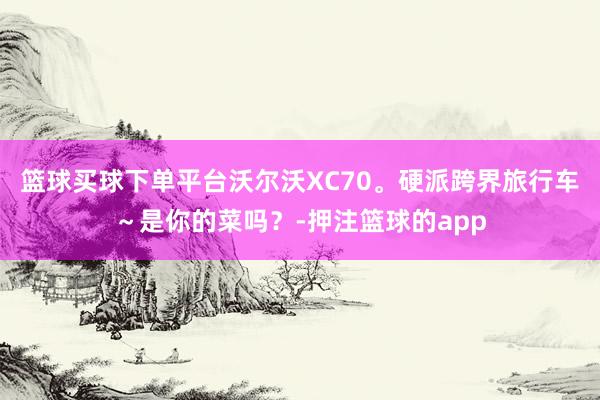 篮球买球下单平台沃尔沃XC70。硬派跨界旅行车～是你的菜吗？-押注篮球的app