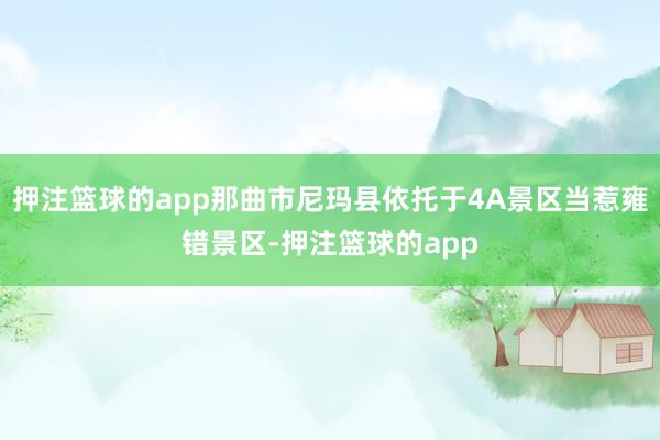 押注篮球的app那曲市尼玛县依托于4A景区当惹雍错景区-押注篮球的app