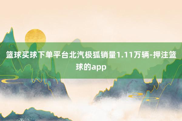 篮球买球下单平台北汽极狐销量1.11万辆-押注篮球的app