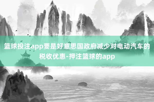 篮球投注app要是好意思国政府减少对电动汽车的税收优惠-押注篮球的app