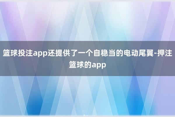 篮球投注app还提供了一个自稳当的电动尾翼-押注篮球的app