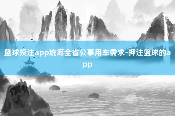 篮球投注app统筹全省公事用车需求-押注篮球的app