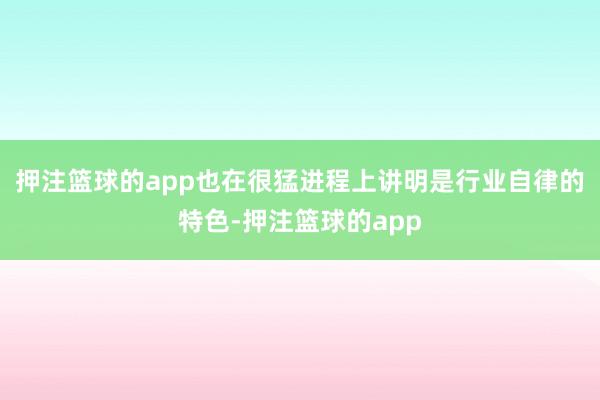 押注篮球的app也在很猛进程上讲明是行业自律的特色-押注篮球的app