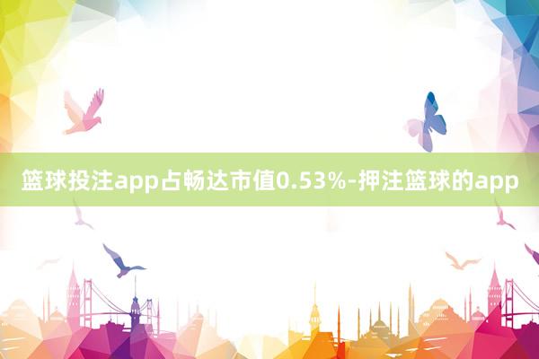 篮球投注app占畅达市值0.53%-押注篮球的app