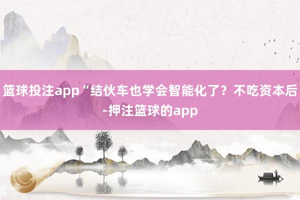 篮球投注app“结伙车也学会智能化了？不吃资本后-押注篮球的app