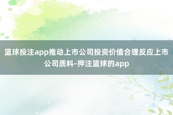 篮球投注app推动上市公司投资价值合理反应上市公司质料-押注篮球的app