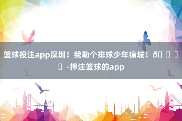 篮球投注app深圳！我勒个排球少年痛城！🏐️-押注篮球的app