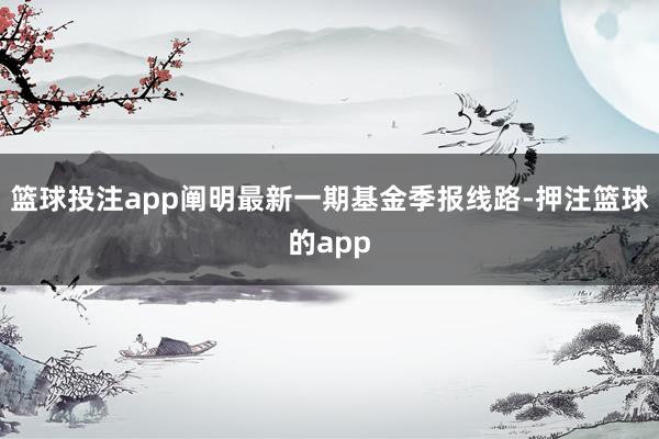 篮球投注app阐明最新一期基金季报线路-押注篮球的app