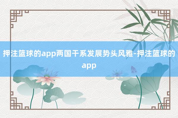 押注篮球的app两国干系发展势头风雅-押注篮球的app