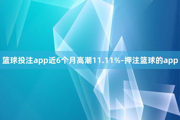 篮球投注app近6个月高潮11.11%-押注篮球的app