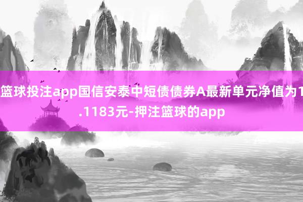 篮球投注app国信安泰中短债债券A最新单元净值为1.1183元-押注篮球的app