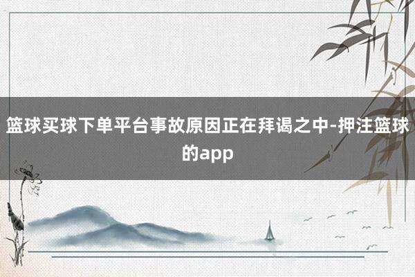 篮球买球下单平台事故原因正在拜谒之中-押注篮球的app