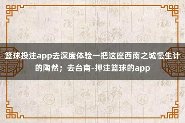 篮球投注app去深度体验一把这座西南之城慢生计的陶然；去台南-押注篮球的app