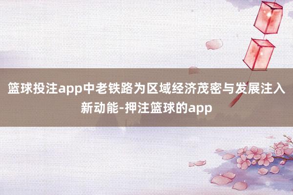 篮球投注app中老铁路为区域经济茂密与发展注入新动能-押注篮球的app