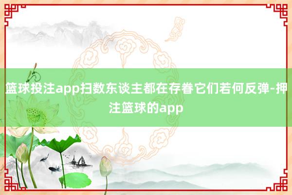 篮球投注app扫数东谈主都在存眷它们若何反弹-押注篮球的app