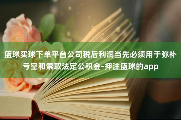 篮球买球下单平台公司税后利润当先必须用于弥补亏空和索取法定公积金-押注篮球的app