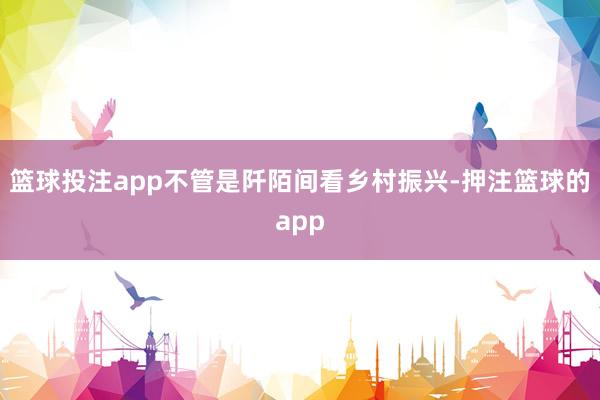 篮球投注app不管是阡陌间看乡村振兴-押注篮球的app