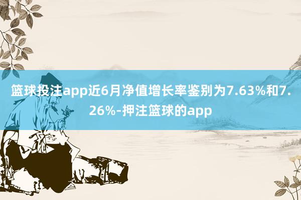 篮球投注app近6月净值增长率鉴别为7.63%和7.26%-押注篮球的app