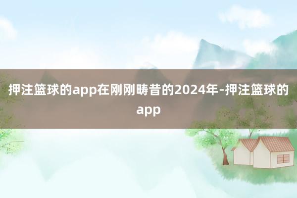 押注篮球的app在刚刚畴昔的2024年-押注篮球的app