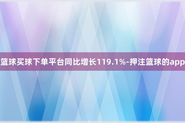 篮球买球下单平台同比增长119.1%-押注篮球的app