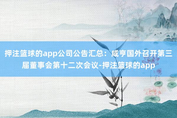 押注篮球的app公司公告汇总：咸亨国外召开第三届董事会第十二次会议-押注篮球的app