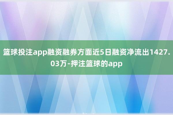 篮球投注app融资融券方面近5日融资净流出1427.03万-押注篮球的app