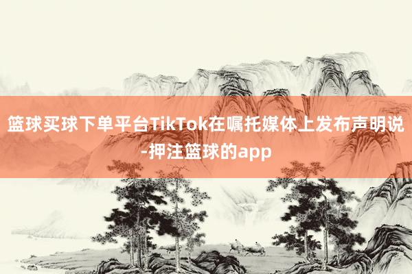 篮球买球下单平台TikTok在嘱托媒体上发布声明说-押注篮球的app