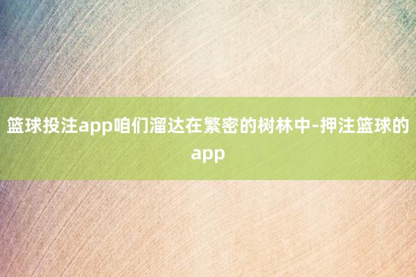 篮球投注app咱们溜达在繁密的树林中-押注篮球的app