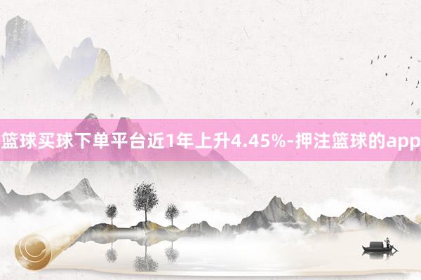 篮球买球下单平台近1年上升4.45%-押注篮球的app