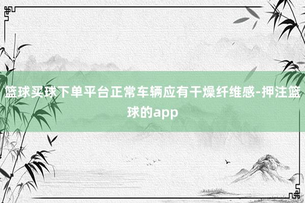 篮球买球下单平台正常车辆应有干燥纤维感-押注篮球的app