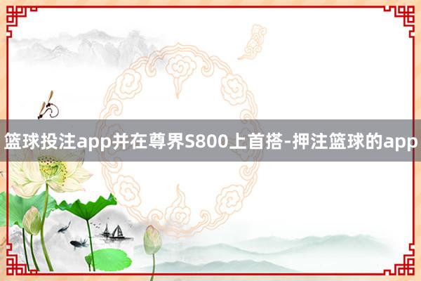 篮球投注app并在尊界S800上首搭-押注篮球的app