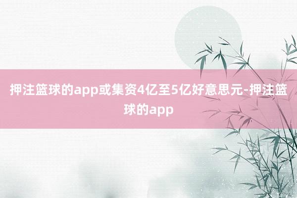 押注篮球的app或集资4亿至5亿好意思元-押注篮球的app