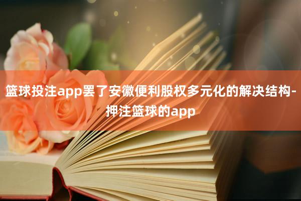 篮球投注app罢了安徽便利股权多元化的解决结构-押注篮球的app