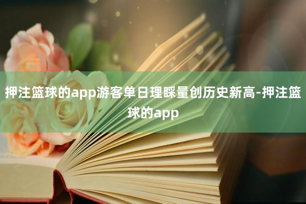 押注篮球的app游客单日理睬量创历史新高-押注篮球的app