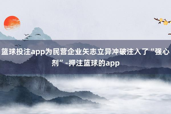 篮球投注app为民营企业矢志立异冲破注入了“强心剂”-押注篮球的app