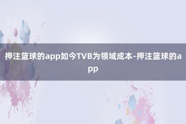 押注篮球的app如今TVB为领域成本-押注篮球的app