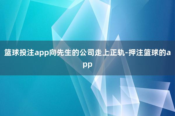 篮球投注app向先生的公司走上正轨-押注篮球的app